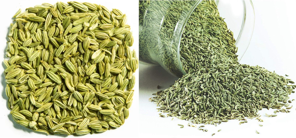 Fennel Seeds